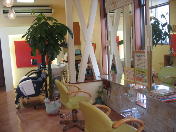 店舗　＆　店舗横100円パーキング無料|ブルーモスクTOKYO