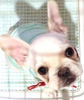 メンズ6|ブルーモスクTOKYO