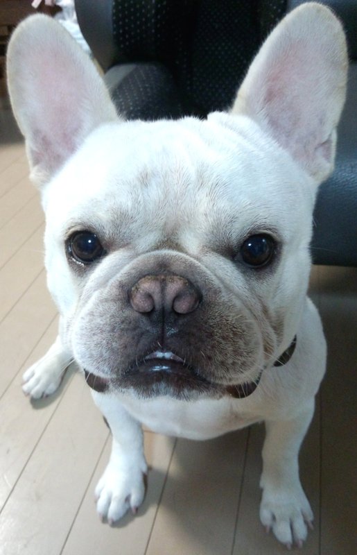 メンズ6|ブルーモスクTOKYO