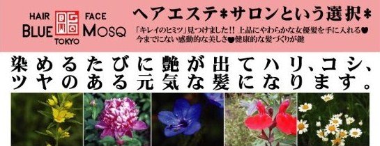 オーガニック施術|ブルーモスクTOKYO
