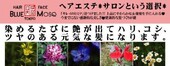 オーガニック施術|ブルーモスクTOKYO
