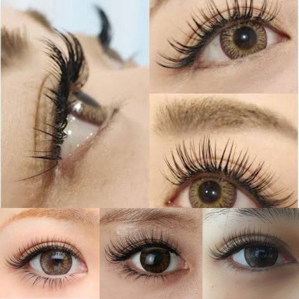 まつ毛エクステ|美容室プティミルム