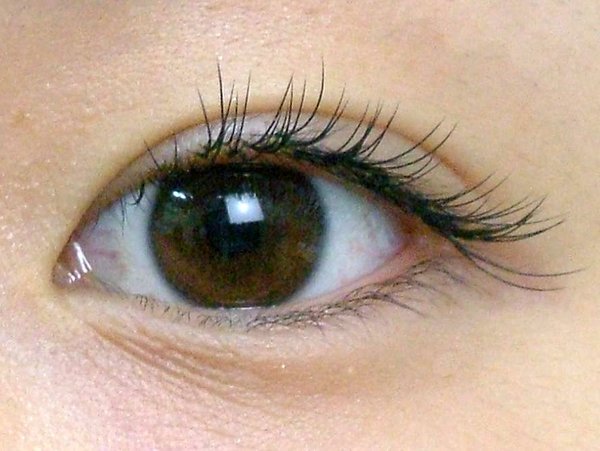 ミンクラッシュ|美&amp;癒しの空間Ｃｌｏｖｅｒ