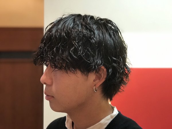 マッシュウルフ|ブルーモスクTOKYO