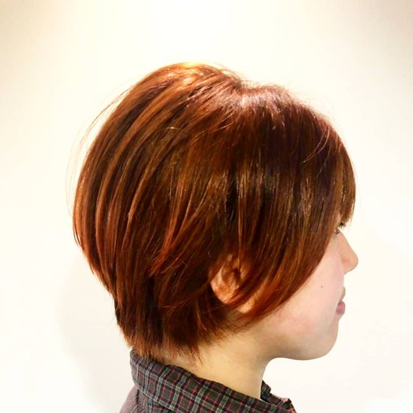 オレンジショート|Homie