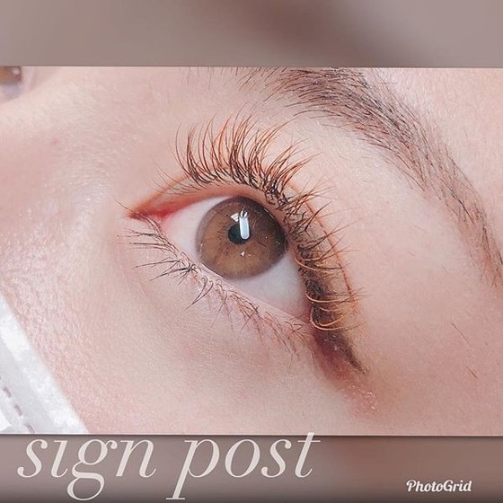 ハーフeye ブラウン1本コース Sign Post 志木店 サインポストシキテン 埼玉県 志木 のマツエク まつげパーマカタログ ビューティーパーク