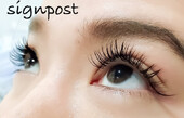 ぱっちり目元に！《シルク付け放題》|アイラッシュサロン　sign post　ふじみ野店