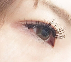 人気No.1☆ナチュラル《セーブル付け放題》２