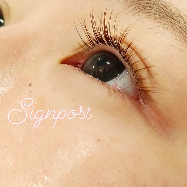 ハーフeye☆《ブラウン付け放題》オフ無料　３|アイラッシュサロン　sign post　ふじみ野店