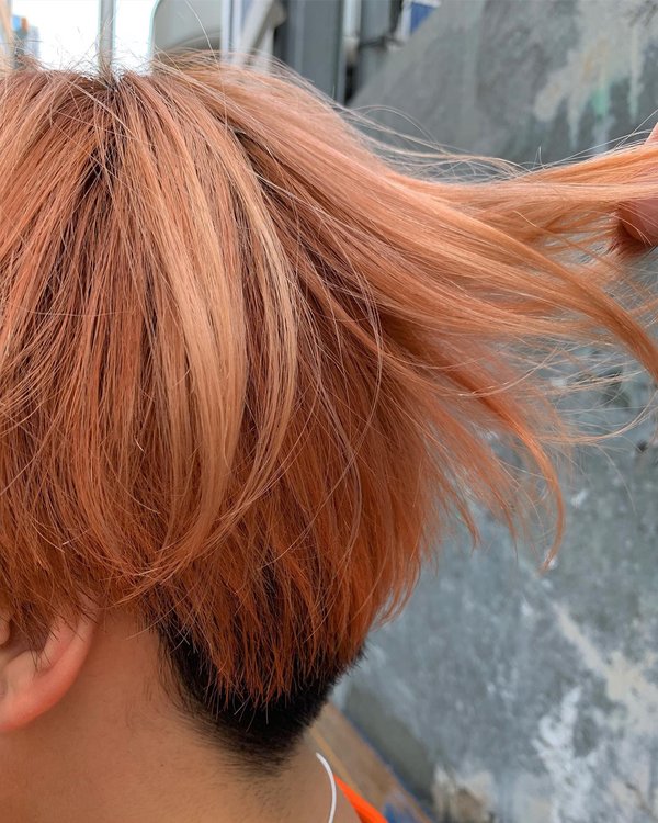 サニーオレンジ|lot