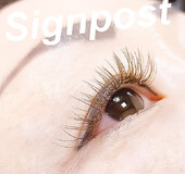☆ハーフeye☆【ブラウンつけ放題】オフ無料 ８ |sign post 志木店