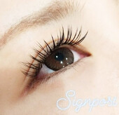 ☆ぱっちり目元に！☆【シルク】120本オフ無料 |アイラッシュサロン　sign post　ふじみ野店