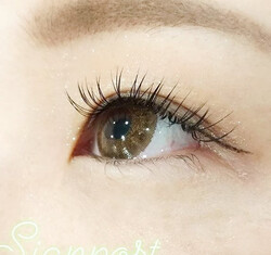 【ボリームラッシュ】300本・オフ無料