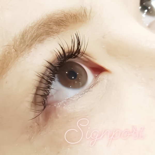 【フラットラッシュ】160本オフ無料 　20|アイラッシュサロン　sign post　ふじみ野店