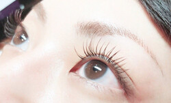 【カラーフラットラッシュ】140本オフ無料|アイラッシュサロン　sign post　ふじみ野店