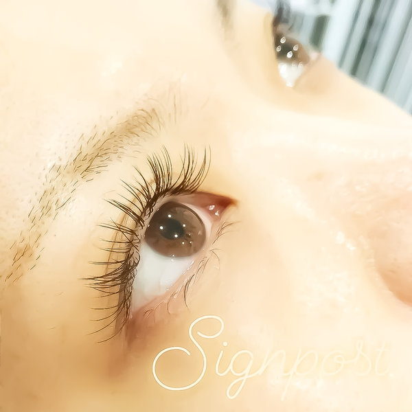 【フラットラッシュ】140本オフ無料　21|アイラッシュサロン　sign post　ふじみ野店