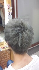シルバーウルフ★|Hair Space 108
