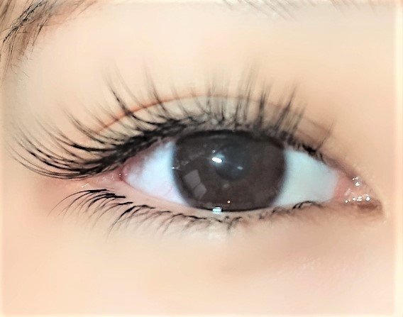 フラットマットラッシュつけ放題|マツエクサロン Prestige 白金台