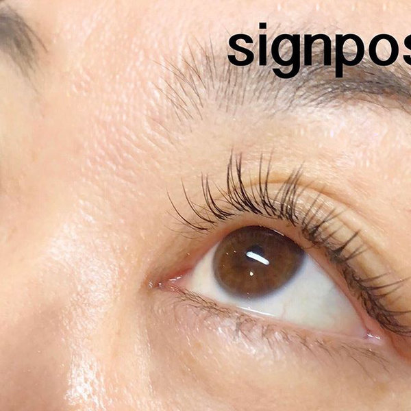 フラットラッシュ120本オフ無料|アイラッシュサロン　sign post　ふじみ野店