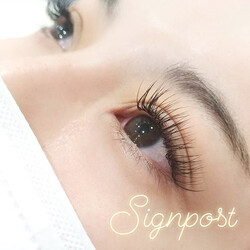 セーブル120本オフ無料|アイラッシュサロン　sign post　ふじみ野店