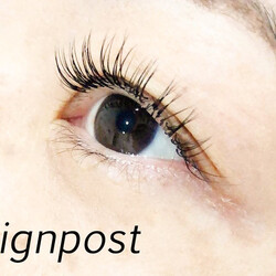 セーブルエクステ180本オフ無料|アイラッシュサロン　sign post　ふじみ野店