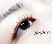 フラットラッシュ120本オフ無料⑩|sign post 志木店