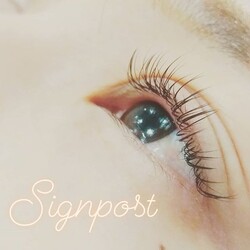 フラットラッシュ120本オフ無料④|アイラッシュサロン　sign post　ふじみ野店