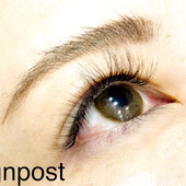 ボリュームラッシュ400本オフ無料⑤|アイラッシュサロン　sign post　ふじみ野店