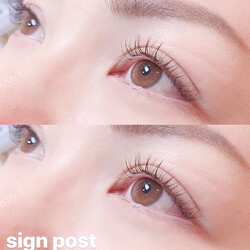 ブラウンエクステ180本オフ無料⑥