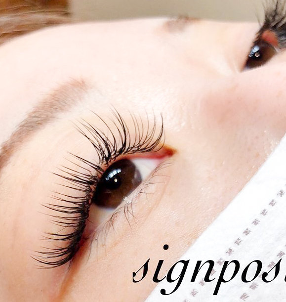 セーブル180本オフ無料⑦|sign post 志木店