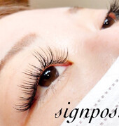 セーブル180本オフ無料⑦|sign post 志木店