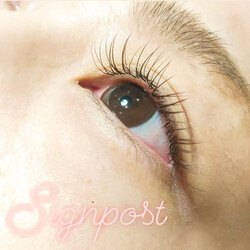 カーキブラウン120本オフ無料⑦|アイラッシュサロン　sign post　ふじみ野店