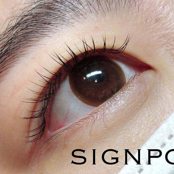 フラットラッシュ140本⑤オフ無料|sign post 志木店