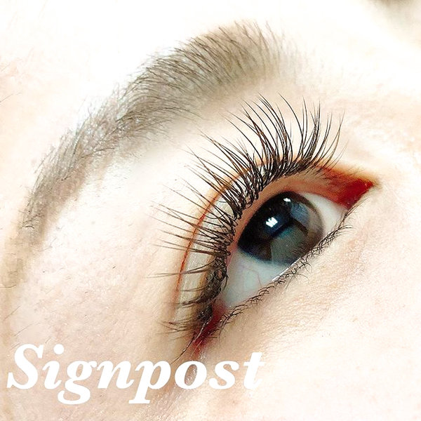 ブラウンエクステ170本⑤オフ無料|sign post 志木店