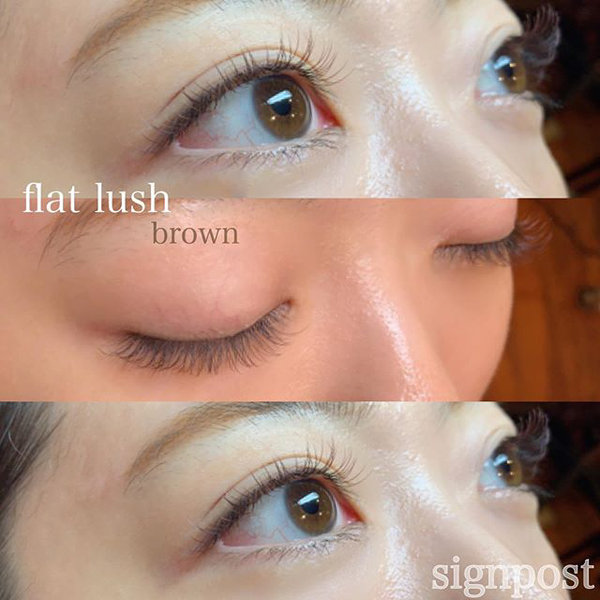 フラットラッシュ120本①オフ無料|sign post 志木店