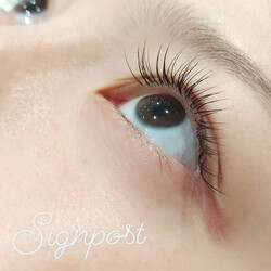 フラットラッシュ100本①オフ無料|アイラッシュサロン　sign post　ふじみ野店