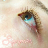 ブラウンエクステ180本②オフ無料|アイラッシュサロン　sign post　ふじみ野店