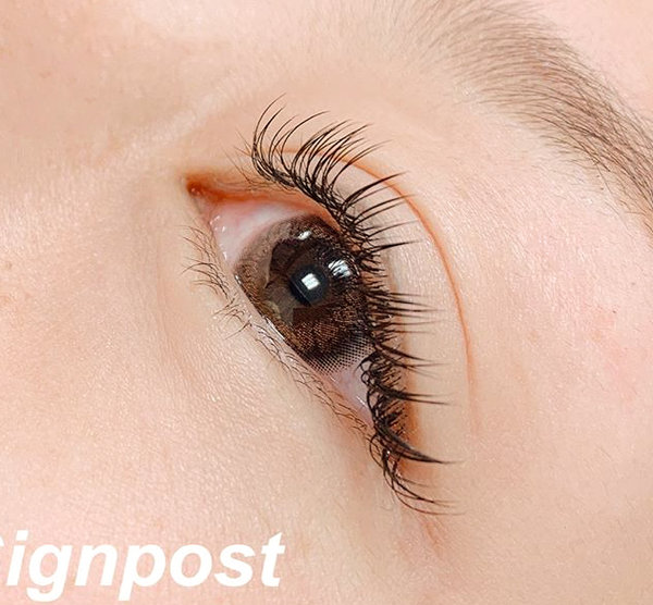 フラットラッシュ160本⑥  オフ無料|sign post 志木店