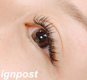 フラットラッシュ160本⑥  オフ無料|sign post 志木店