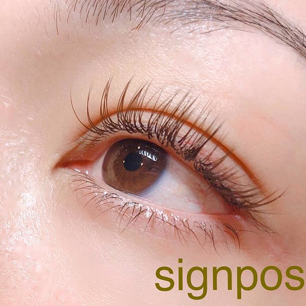 ブラウンエクステ180本③  オフ無料|sign post 志木店