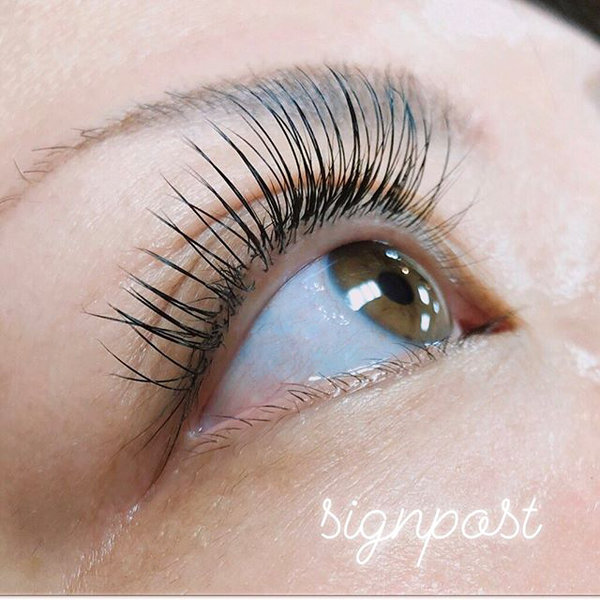 フラットラッシュ140本⑥  オフ無料|sign post 志木店