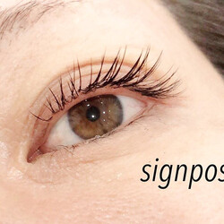 フラットラッシュ140本⑥  オフ無料|アイラッシュサロン　sign post　ふじみ野店