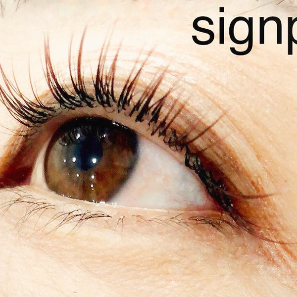 カラーフラットラッシュ140本⑧ オフ無料|アイラッシュサロン　sign post　ふじみ野店