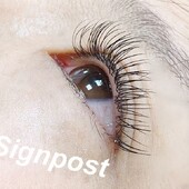 フラットラッシュ140本⑨オフ無料|sign post 志木店