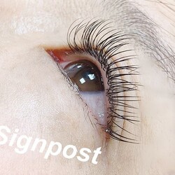 フラットラッシュ140本⑨オフ無料|sign post 志木店