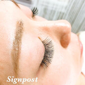 ボリュームラッシュ500本　オフ無料|sign post 志木店