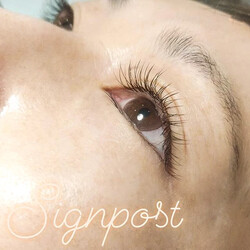 ブラウンエクステ120本⑥ オフ無料|アイラッシュサロン　sign post　ふじみ野店