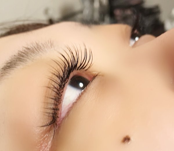 フラットマットラッシュ|Ｆａｖｏｒｉ ~EyelashSalon~溝ノ口店