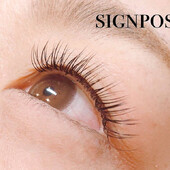 フラットラッシュ160本⑦ オフ無料|sign post 志木店