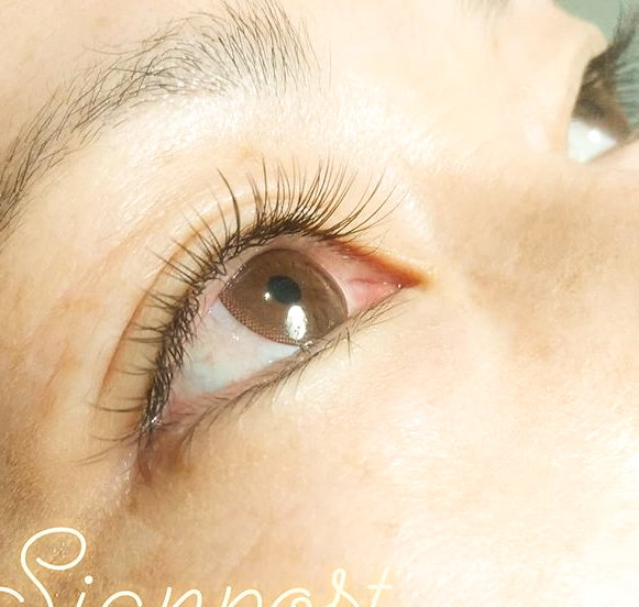 カラーフラットラッシュ140本⑧オフ無料|アイラッシュサロン　sign post　ふじみ野店